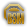 BSM Ltd.