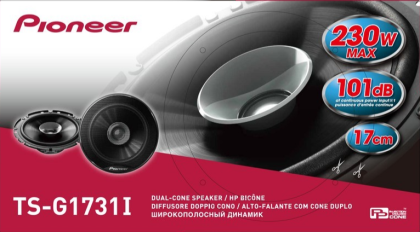 Pioneer TS-G1731i